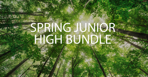 Spring Junior High Bundle